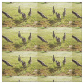 EMU Chicks met EMU Big Foot, Stof (Swatch)