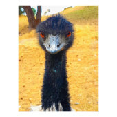Emu Foto Afdruk (Voorkant)
