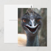 Emu gezegde HI! Afbeelding van de grote bruine oge Briefkaart (Voorkant / Achterkant)