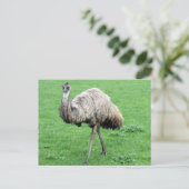 emu - groen briefkaart (Staand voorkant)