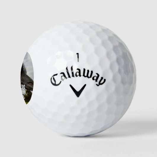 Emu heeft mijn oog op jou, golfballen (Logo)