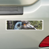 Emu in Australië Bumpersticker (Op auto)