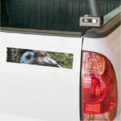 Emu in Australië Bumpersticker (Op Truck)