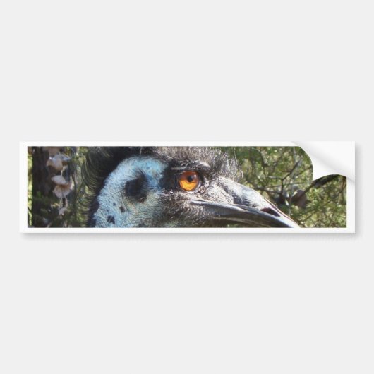 Emu in Australië Bumpersticker (Voorkant)