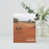 Emu in het Australische outback-briefkaart Briefkaart (Staand voorkant)