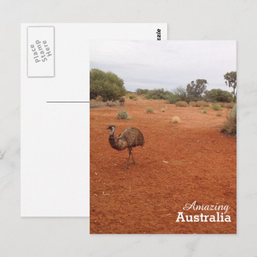 Emu in het Australische outback-briefkaart Briefkaart (Voorkant / Achterkant)