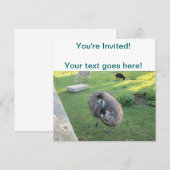 Emu Kaart (Voorkant / Achterkant)
