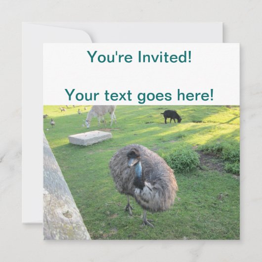 Emu Kaart (Voorkant)