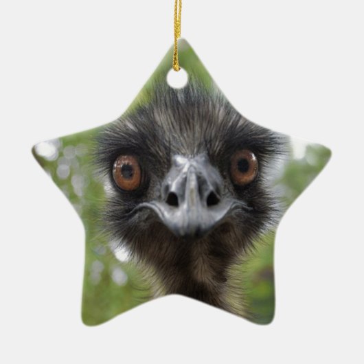 Emu Keramisch Ornament (Voorkant)