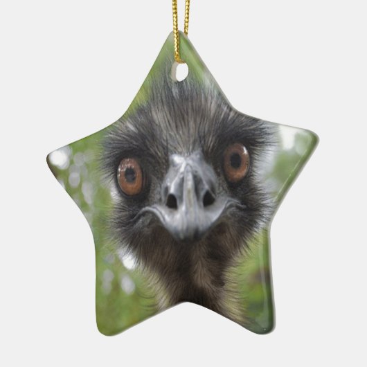 Emu Keramisch Ornament (Links)