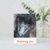 Emu-kijken Briefkaart (Staand voorkant)