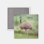 Emu-koeler Magnet (Voorkant / Achterkant)