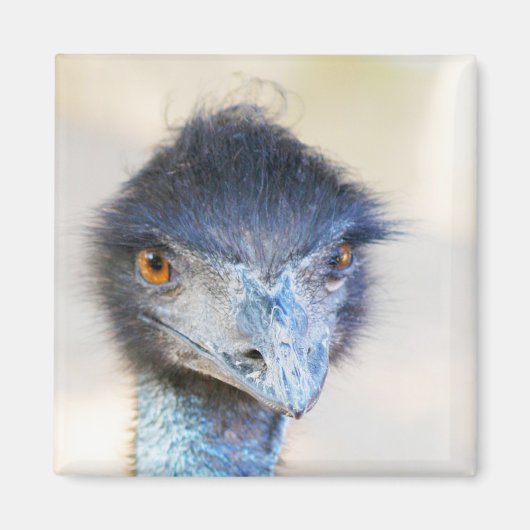 Emu Magneet (Voorkant)