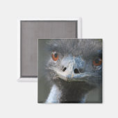 EMU-magneet Magneet (Voorkant / Achterkant)