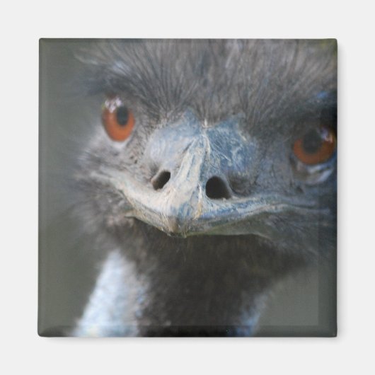 EMU-magneet Magneet (Voorkant)