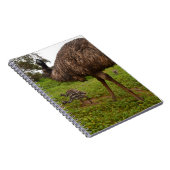 Emu papa met kippen, notitieboek (Rechterzijde)