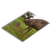 Emu papa met kippen, notitieboek (Linkerzijde)