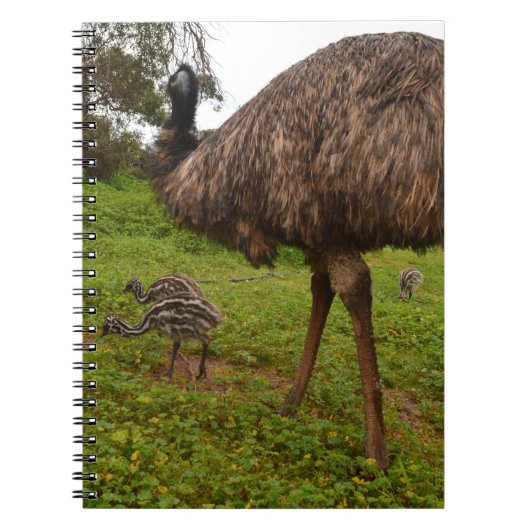 Emu papa met kippen, notitieboek (Voorkant)