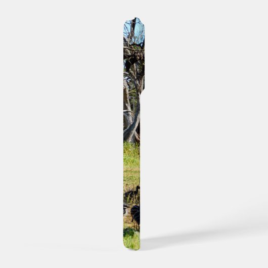 Emu Parents Taking Chicks For Walk, iPhone Hoesje (Rechterkant)