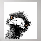 Emu - Pen en Inkt Poster (Voorkant)