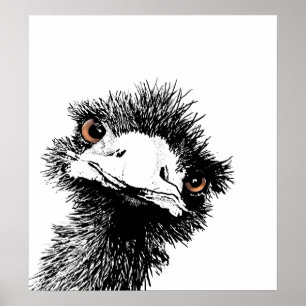 Emu - Pen en Inkt Poster