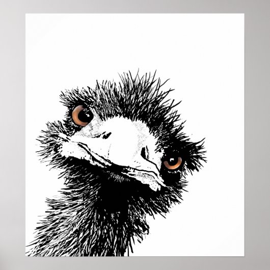 Emu - Pen en Inkt Poster (Voorkant)