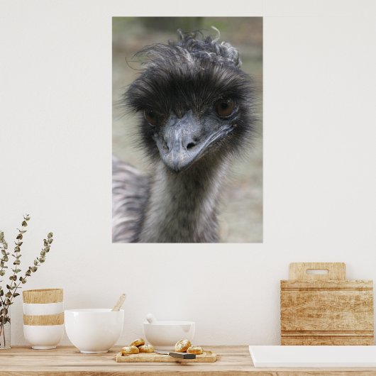 Emu Poster (Keuken)