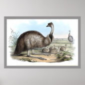 Emu Poster (Voorkant)