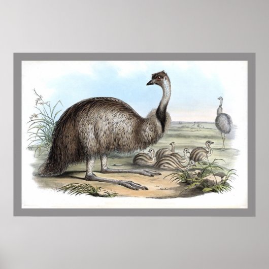 Emu Poster (Voorkant)