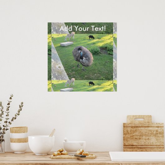 Emu Poster (Keuken)