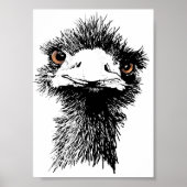 Emu Poster (Voorkant)