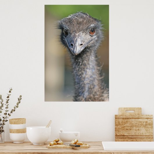 Emu Poster (Keuken)