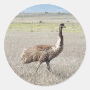 EMU-stap Ronde Sticker