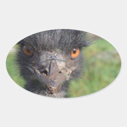 Emu Vogel Stickers (Voorkant)