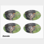 Emu Vogel Stickers (Vel)