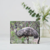 emu wild briefkaart (Staand voorkant)