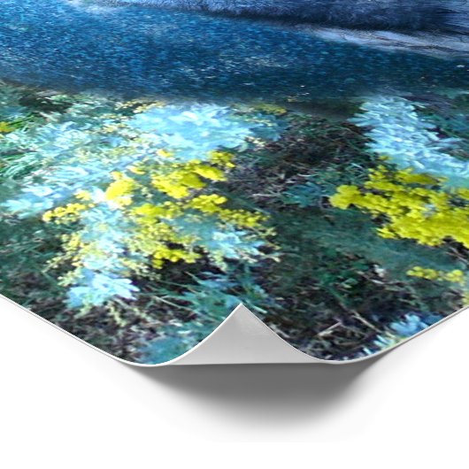 Emu Wildlife Poster (Hoek)