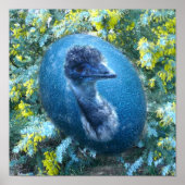 Emu Wildlife Poster (Voorkant)