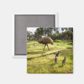 Emu with Chicks Nabbor Watch, Fridge Magnet (Voorkant / Achterkant)