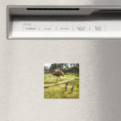 Emu with Chicks Nabbor Watch, Fridge Magnet (Insitu (Vaatwasser))