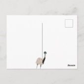 Emus Bird Lovers Aangepast Bericht Briefkaart (Achterkant)