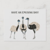 Emus Bird Lovers Aangepast Bericht Briefkaart (Voorkant)