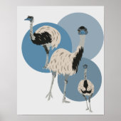 Emus en blauwe cirkels Moderne stijl Poster (Voorkant)