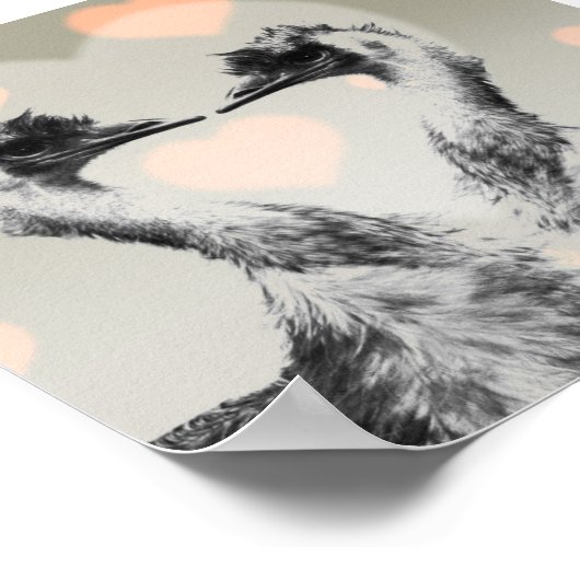 Emus uit liefde poster (Hoek)