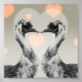 Emus uit liefde poster (Voorkant)