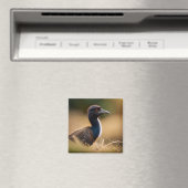 Emu's Wildlife: Murawung, Birabayin Ema Grote Voge Magneet (Insitu (Vaatwasser))