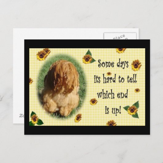 En dat is het einde! briefkaart (Voorkant / Achterkant)