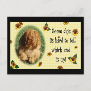 En dat is het einde! briefkaart