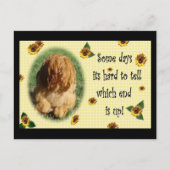 En dat is het einde! briefkaart (Voorkant)