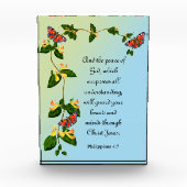 En de vrede van God die het Bijbelversum overstijg Fotoblokken (Voorkant)